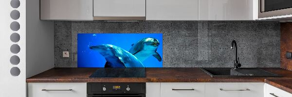 Dekorační panel sklo Dva delfíni