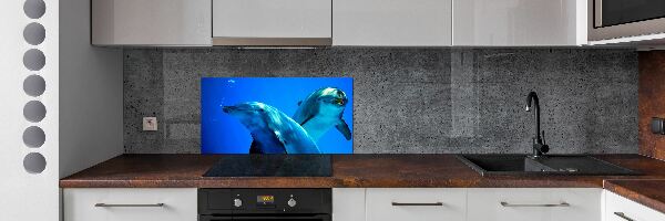 Dekorační panel sklo Dva delfíni