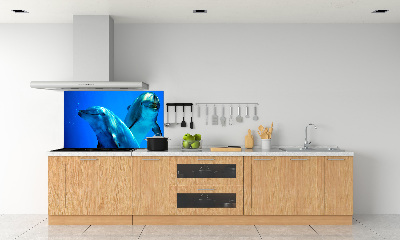 Dekorační panel sklo Dva delfíni