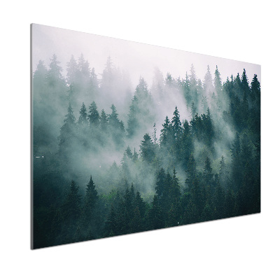 Panel do kuchyně Mlha nad lesem