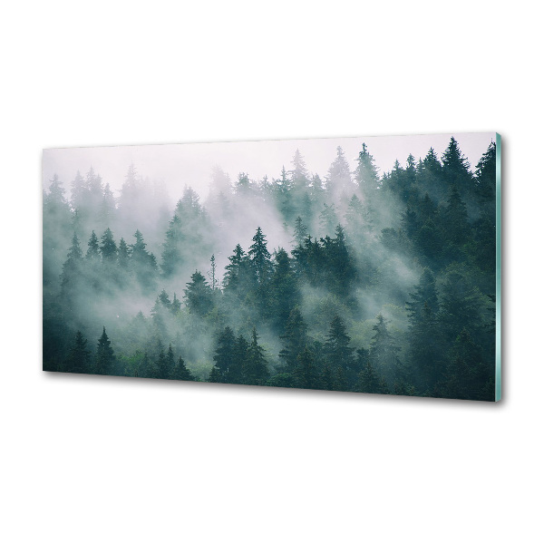 Panel do kuchyně Mlha nad lesem