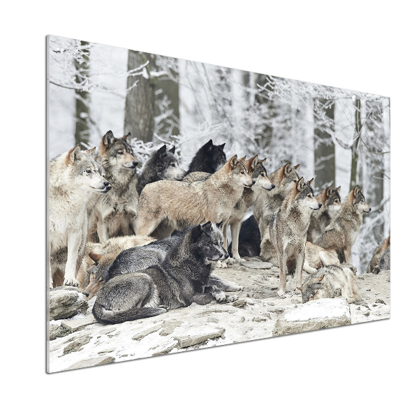 Dekorační panel sklo Vlci a zima