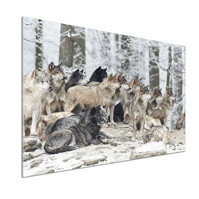 Dekorační panel sklo Vlci a zima