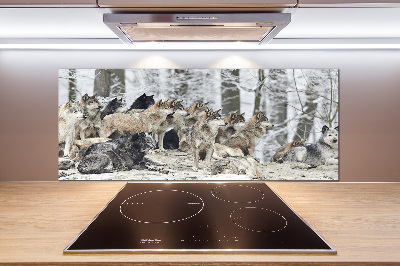 Dekorační panel sklo Vlci a zima