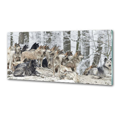 Dekorační panel sklo Vlci a zima