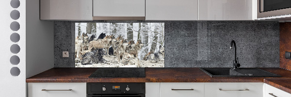 Dekorační panel sklo Vlci a zima