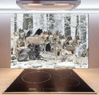 Dekorační panel sklo Vlci a zima