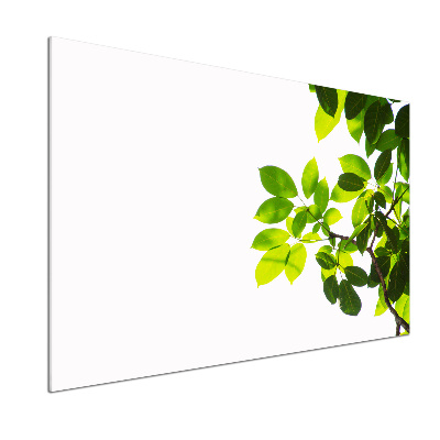 Skleněný panel do kuchyně Listí