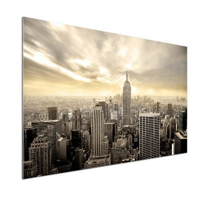 Panel lacobel Manhattan New York
