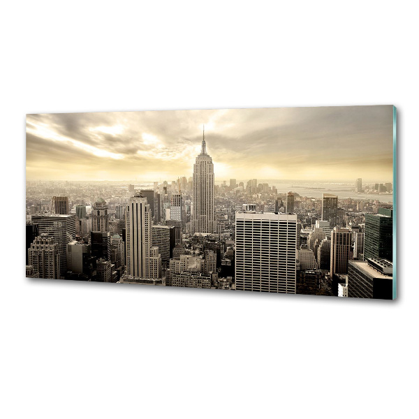 Panel lacobel Manhattan New York
