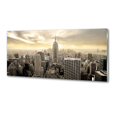 Panel lacobel Manhattan New York