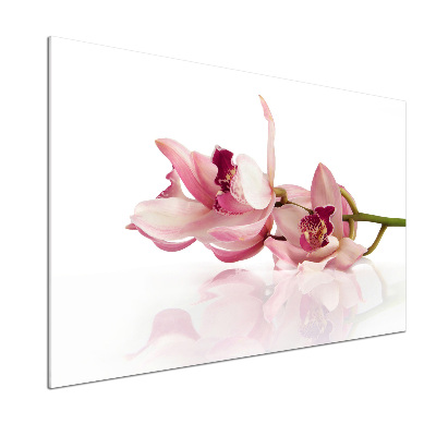 Skleněný panel do kuchynské linky Orchidej