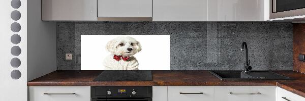 Panel lacobel Maltézský psík