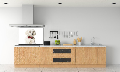 Panel lacobel Maltézský psík