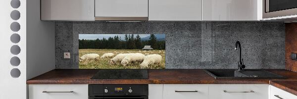 Panel do kuchyně Pasící se ovce