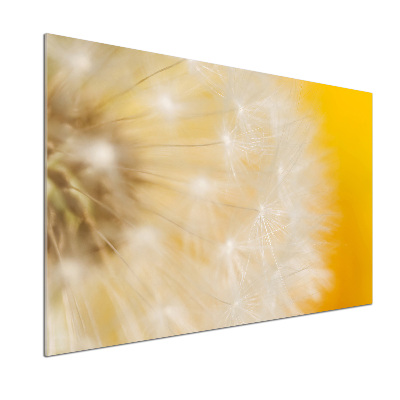 Dekorační panel sklo Pampeliška