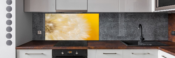 Dekorační panel sklo Pampeliška