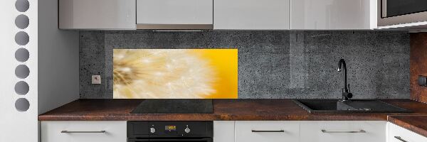 Dekorační panel sklo Pampeliška