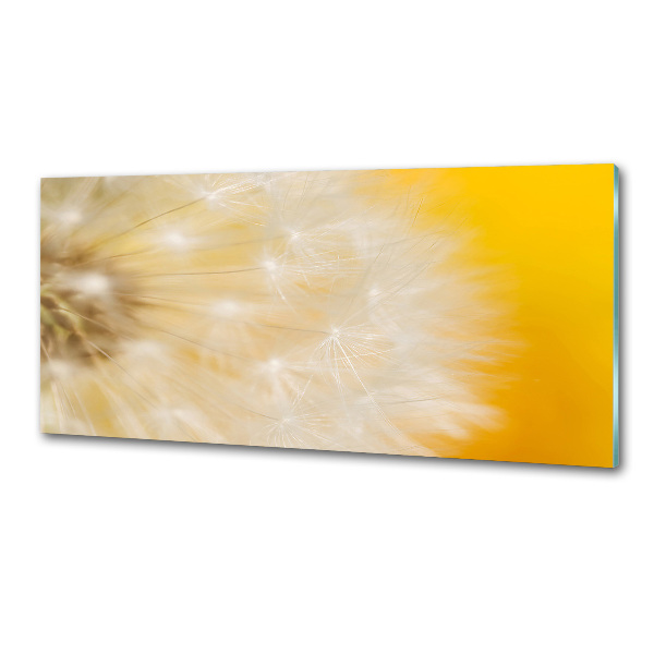 Dekorační panel sklo Pampeliška