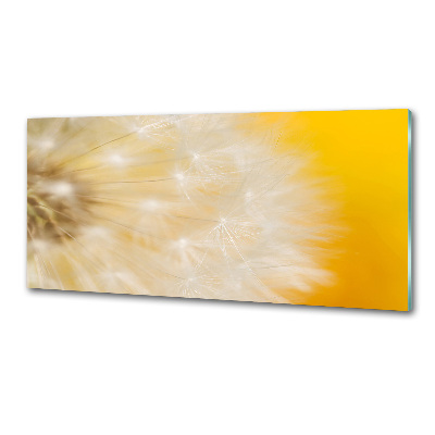 Dekorační panel sklo Pampeliška