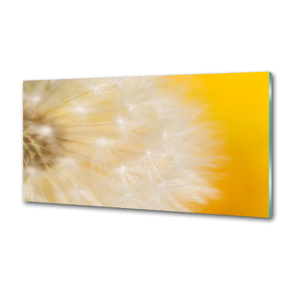Dekorační panel sklo Pampeliška