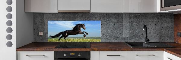 Panel do kuchyně Černý kůň na louce