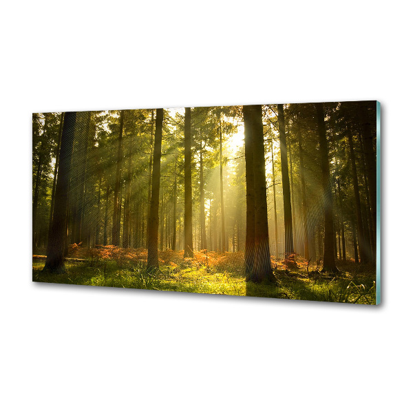 Dekorační panel sklo Les slunce