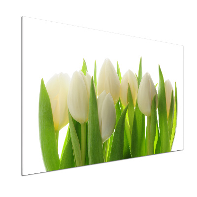 Skleněný panel do kuchynské linky Tulipány