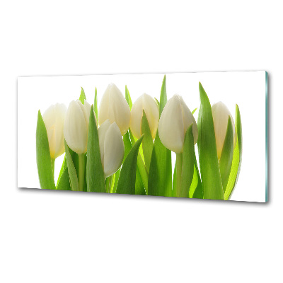 Skleněný panel do kuchynské linky Tulipány