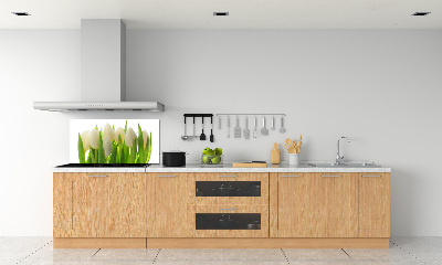 Skleněný panel do kuchynské linky Tulipány