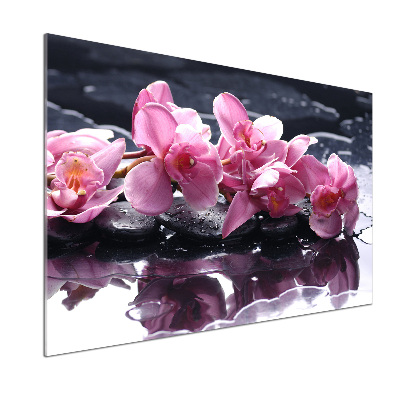 Panel do kuchyně Růžová orchidej