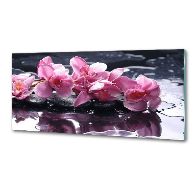 Panel do kuchyně Růžová orchidej