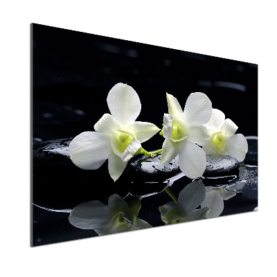 Skleněný panel do kuchynské linky Orchidej