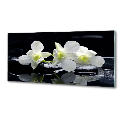 Skleněný panel do kuchynské linky Orchidej