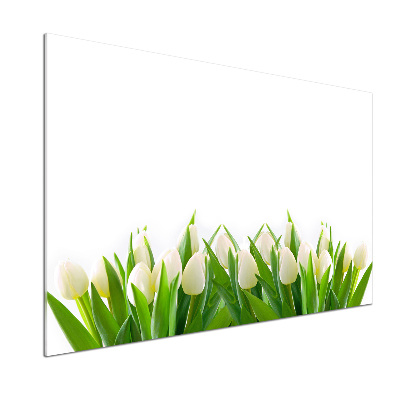Panel do kuchyně Bílé tulipány