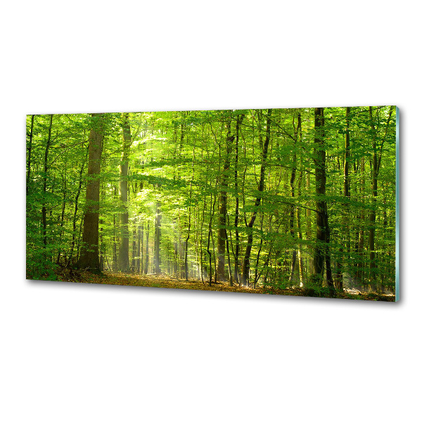 Panel do kuchyně Listnatý strom
