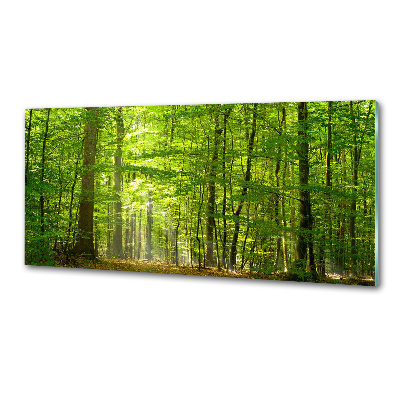 Panel do kuchyně Listnatý strom