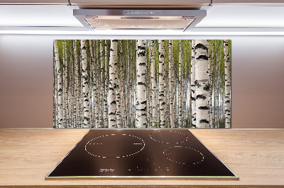 Dekorační panel sklo Břízový les