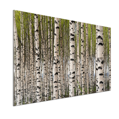 Dekorační panel sklo Břízový les