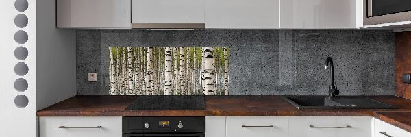 Dekorační panel sklo Břízový les