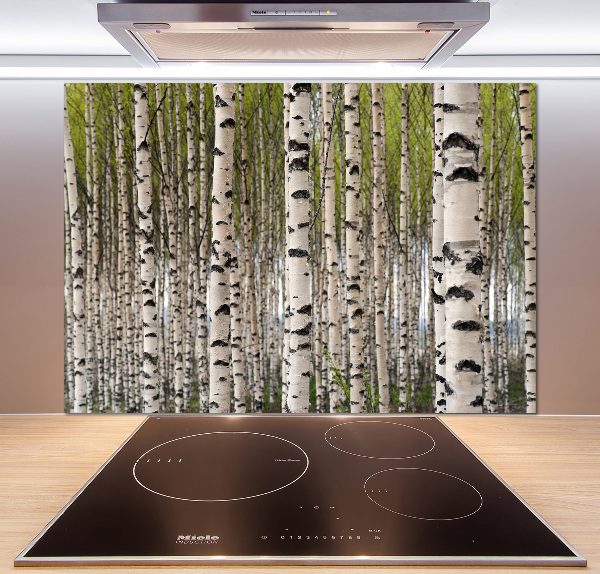 Dekorační panel sklo Břízový les