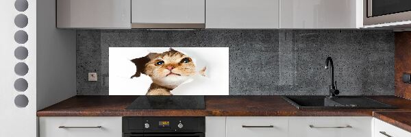 Panel do kuchyně Kočka v díře