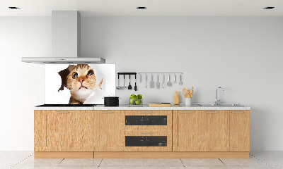 Panel do kuchyně Kočka v díře