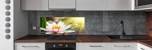 Dekorační panel sklo Vodní lilie