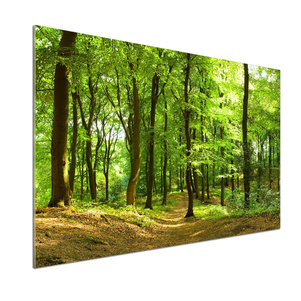 Panel do kuchyně Lesní stezka