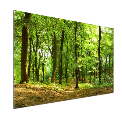 Panel do kuchyně Lesní stezka