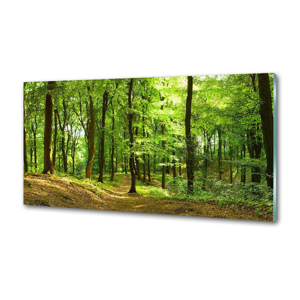 Panel do kuchyně Lesní stezka