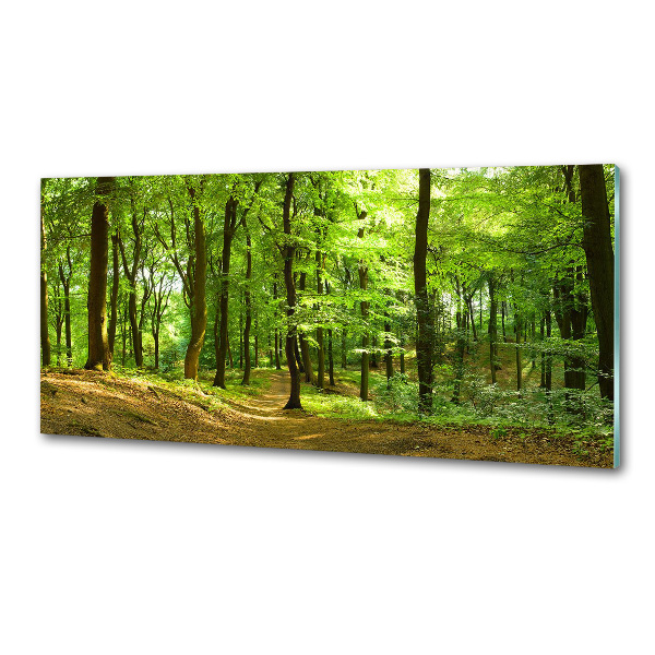 Panel do kuchyně Lesní stezka