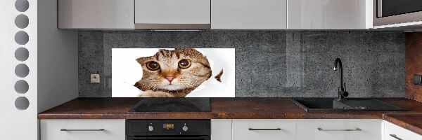 Panel tvrzené sklo do kuchyně Kočka