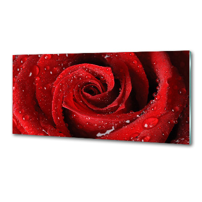 Panel do kuchyně Kapky na růži